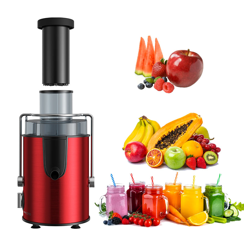Multifunctional 800W Centrifugal Juicer Machine with Anti-Drip & Anti-Slip Design, 2-Speed Juicer for Fruits & Vegetables – Fast Juice Extraction