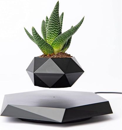 Levitating - Bonsai Planter Pot, Magnetic Floating Planter, Stylish Decor, Tranquil Home & Office Decor, Great Gift Idea, Magnetic Levitation Technology.