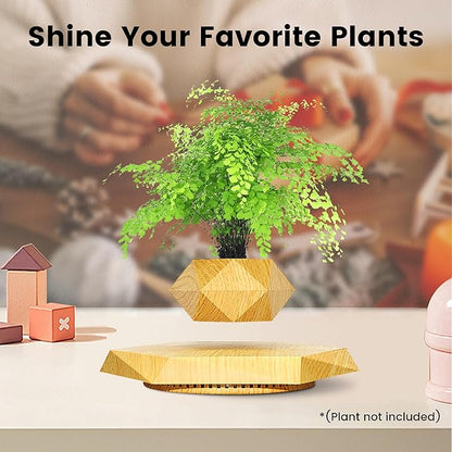 Levitating - Bonsai Planter Pot, Magnetic Floating Planter, Stylish Decor, Tranquil Home & Office Decor, Great Gift Idea, Magnetic Levitation Technology.